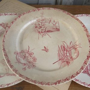 petites-assiettes-roses_3416_4