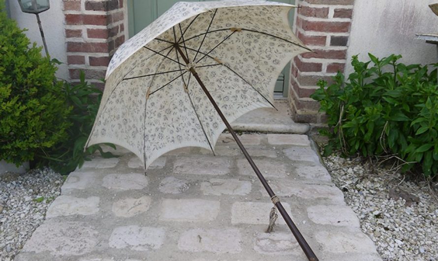 Ombrelle fleurs bleues