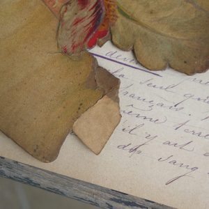 P1480095-1024x768-1-1024x768