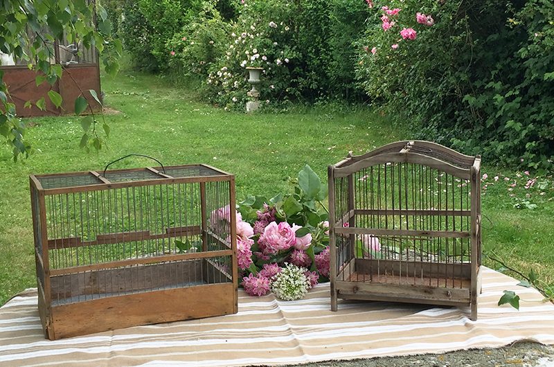 Cages à oiseaux