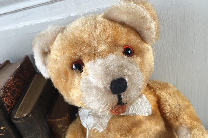 Petit ours malicieux