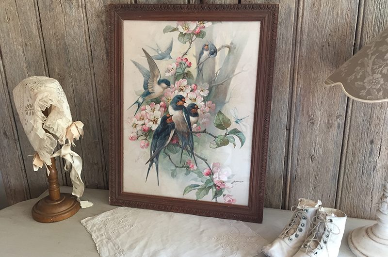 Grand chromo hirondelles