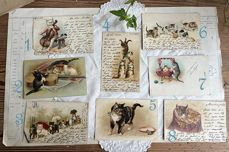 Cartes décor chats