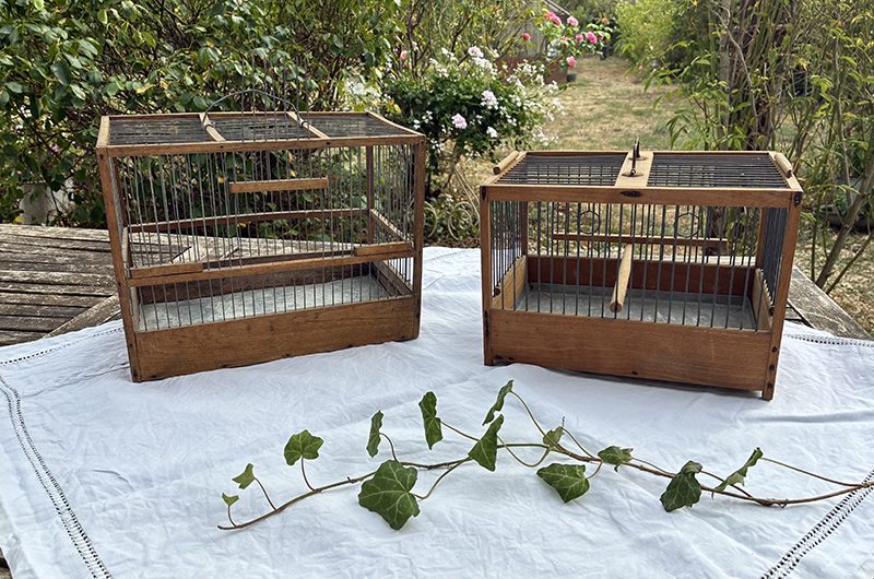 Cages à oiseaux