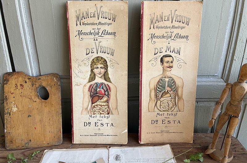 2 livres d&rsquo;anatomie