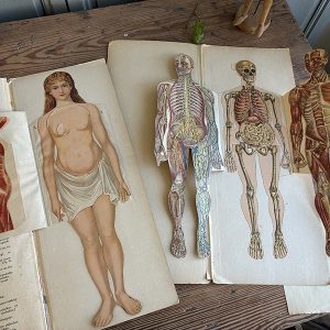 IMG_4273