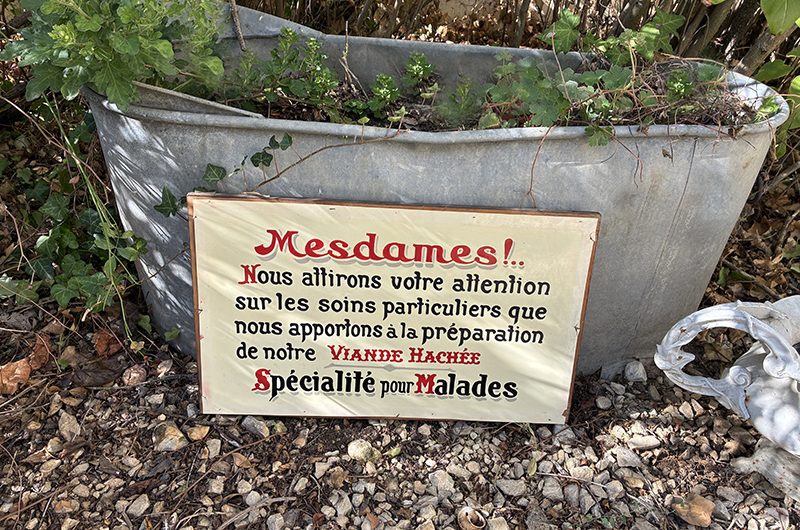 Grand glaçoïde de boucherie