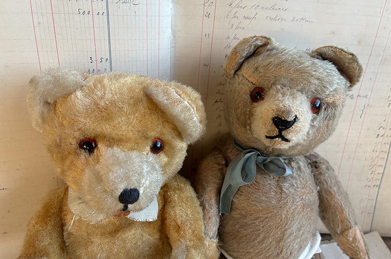 Petits ours